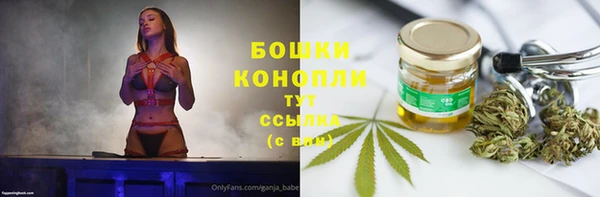 ECSTASY Вяземский