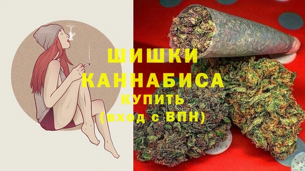 ECSTASY Вяземский